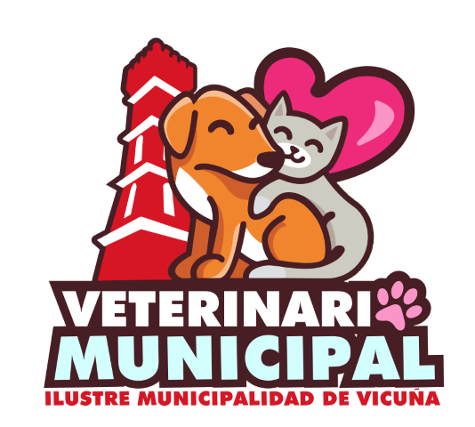Clínica Veterinaria Municipal